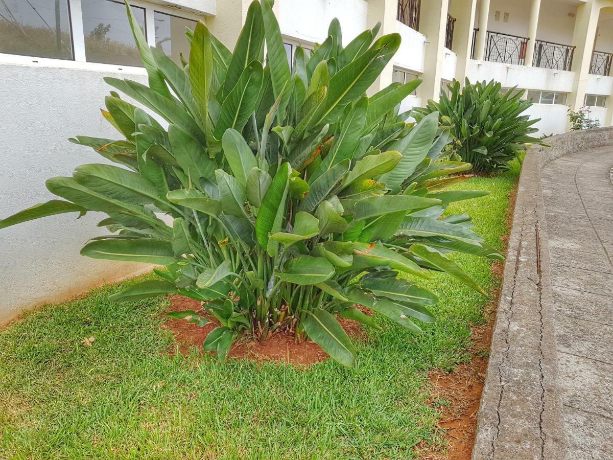 Falesia Apartment - Reis Magos Beach Canico  Luaran gambar